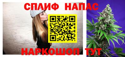 jwh Ставрополь
