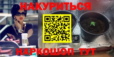 a pvp Лесосибирск
