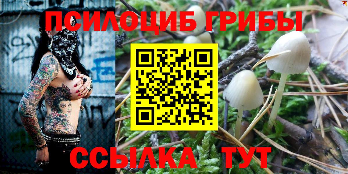Псилоцибиновые грибы Cubensis Заволжье
